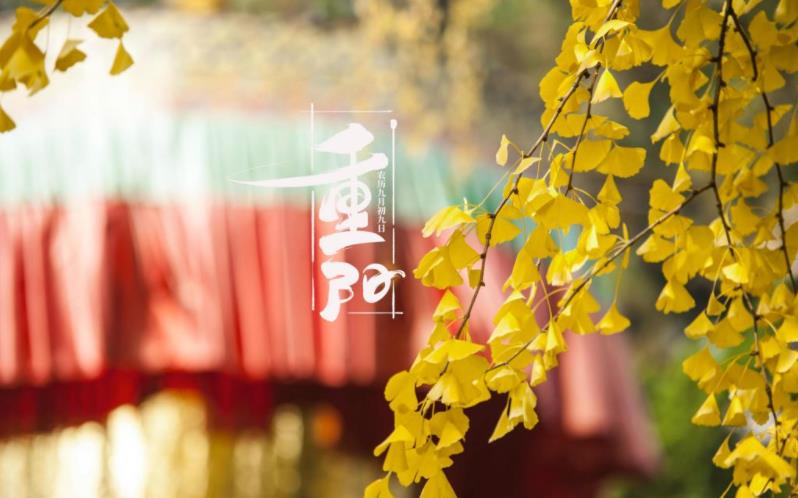 金秋送爽，心暖重陽。祝您重陽愉快，闔家歡樂，福壽安康！